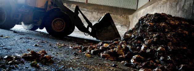 Bioøkonomipanel: Kommunerne skal sætte det organiske affald fri