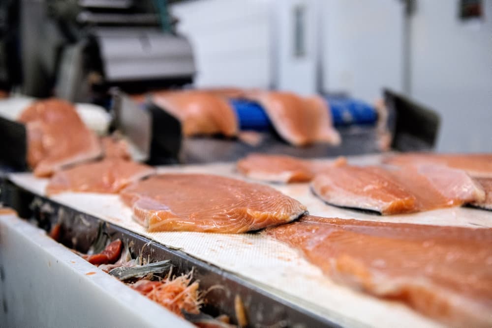 Foto ©Chresten Bergh/Ritzau Scanpix